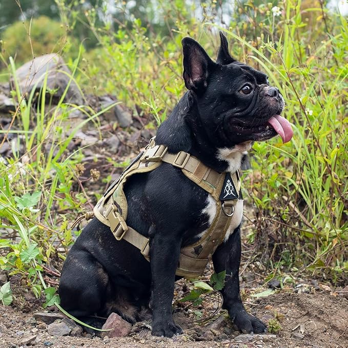OneTigris Tactical Dog Harness with Handle No-Pull Adjustable for Small Dog | Military 1000D Pullable Nylon, Service Dog Vest with Hook & Loop Panels, Easy On & Off for Walking Hiking Training Camo S