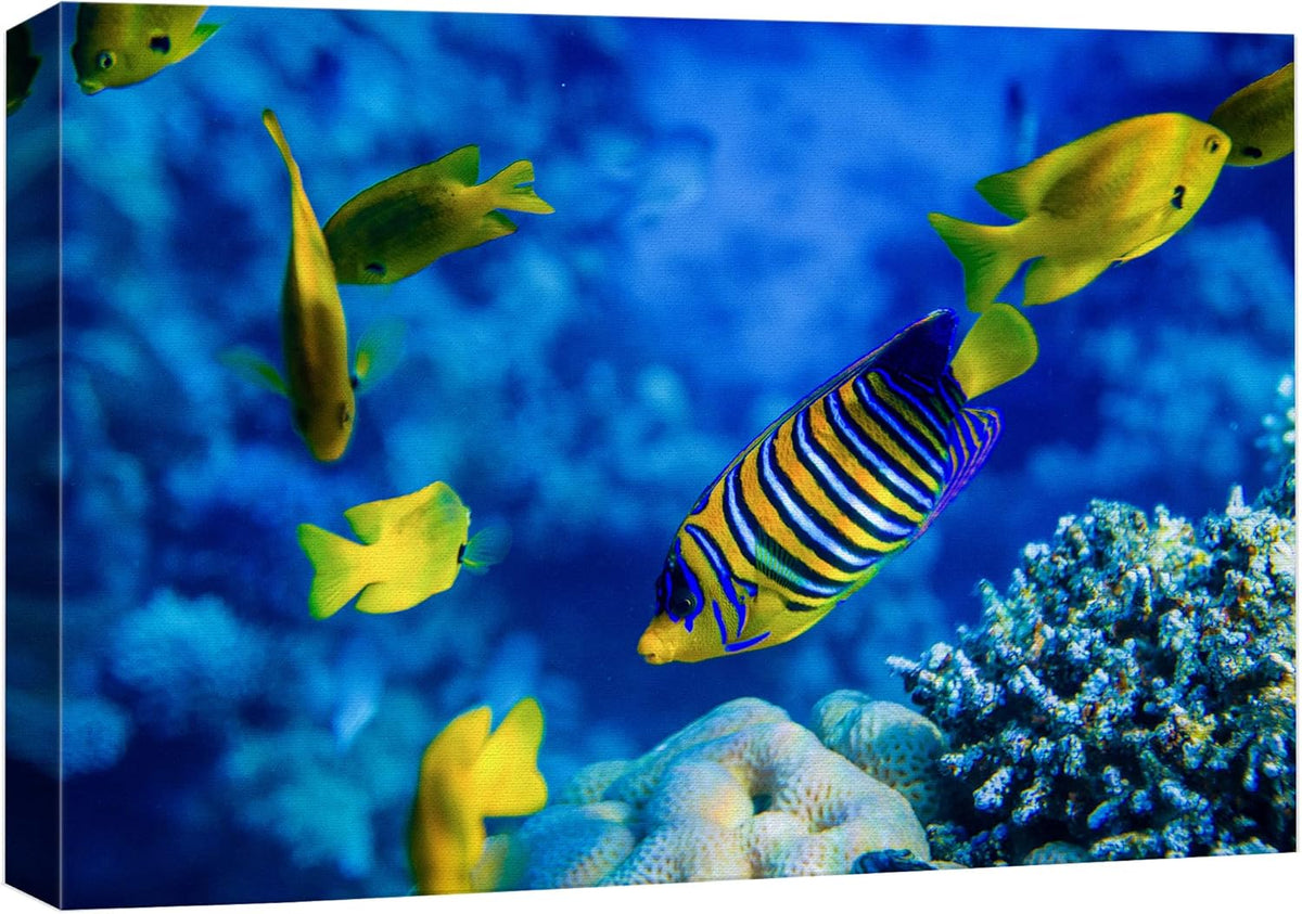 wall26 Canvas Print Wall Art Striped Yellow Tropical Fish Coral Reef Sea Nature Animals Photography Realism Rustic Scenic Landscape Wilderness Colorful for Living Room, Bedroom, Office - 16"x24"