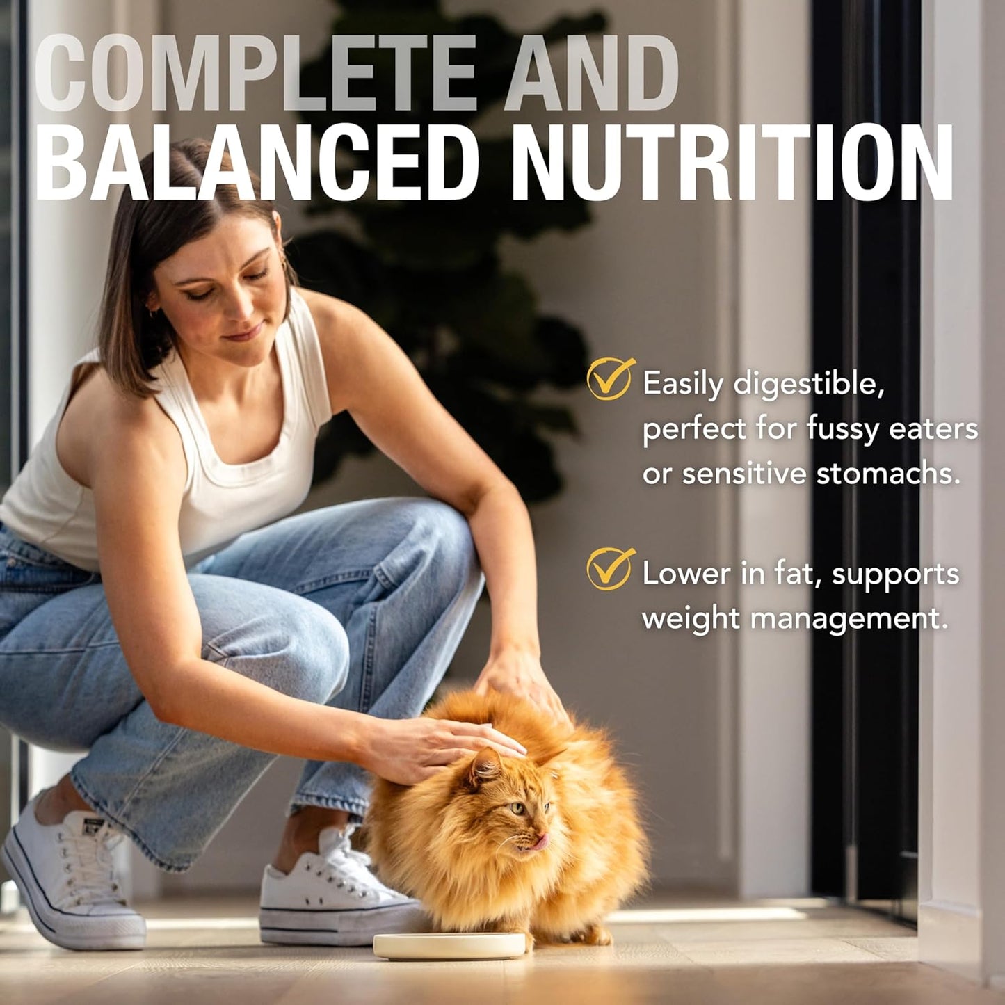 Feline Natural New Zealand Canned Catfood Wet Food, High-Meat, Low-Carb, & Grain Free Cat Food Wet, Chicken Feast, 3 oz, Pack of 24