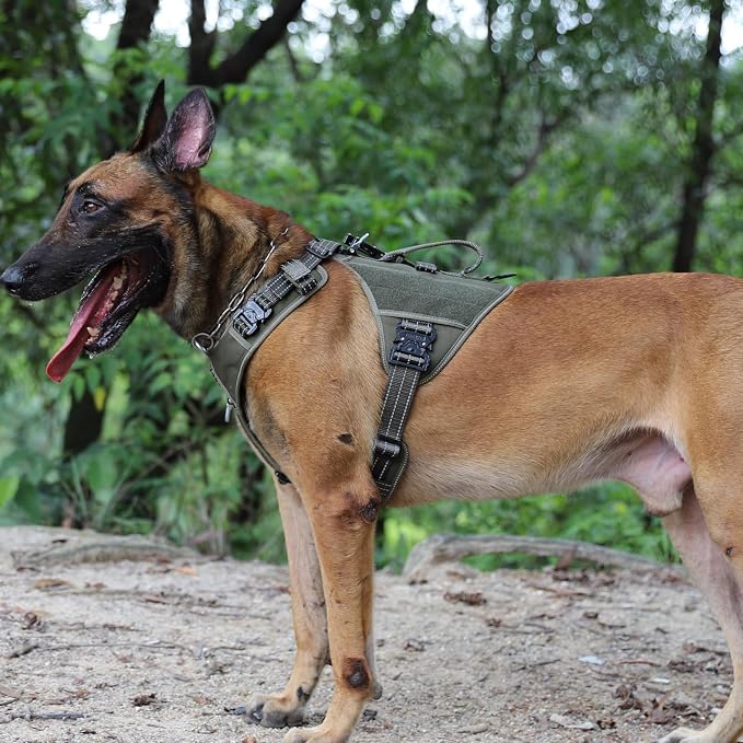 ICEFANG Quick-Moving Tactical Dog Harness for Medium Dogs,No Pull Dog Vest | Control Handle,Reflective,Full Metal Buckles,Adjustable,Hook-and-Loop Panel,Soft Padded,Green,Medium