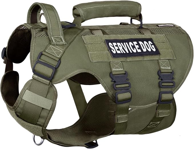 Service Dog Vest for Large Dogs, Green Tactical Harness with Military MOLLE, Breathable Mesh & 39g Metal Buckle - Size M for Training & Hiking