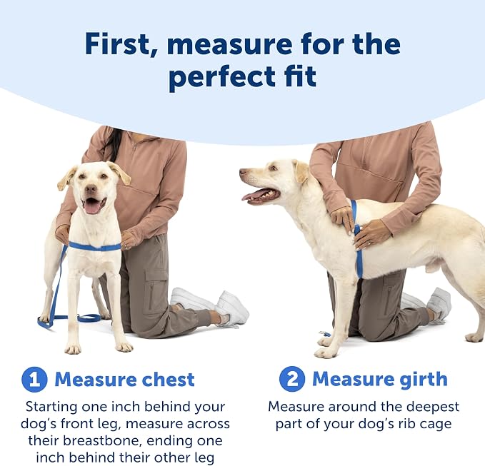 PetSafe Easy Walk Deluxe Dog Harness, No Pull Dog Harness – Perfect for Leash & Harness Training – Stops Pets from Pulling and Choking on Walks – Medium/Large, Ocean