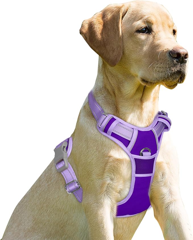 BARKBAY Dog Harness No Pull for Small Sized Dog Front Back Clips,Dog Vest | Soft Padded No Choke With Handle,Easy On&Off,Adjustable Reflective For Walking Training Running(Violet Purple & Purple,XS)