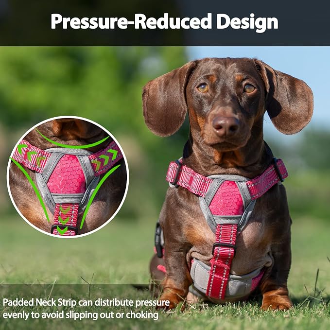 Escape Proof Dog Harness, Dachshund Harness, Reflective Dog Harness with Handle, Durable,Adjustable Vest for Small Medium Large Dogs Walking, Training, and Running Gear (Rose red,XL)