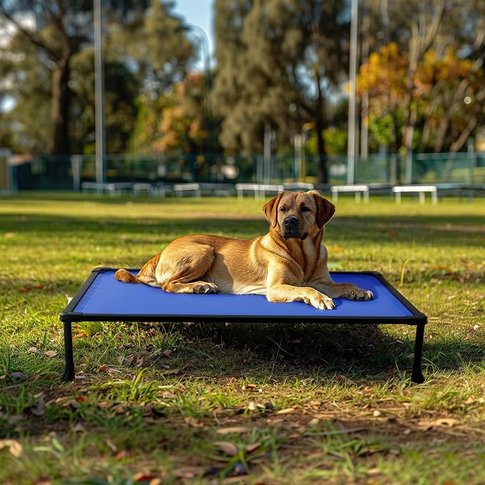 Veehoo Chew Proof Elevated Dog Bed, Indestructible Raised Dog Bed for Aggressive Chewers, Waterproof Dogs Training Platform for Indoor or Outdoor Use, 47 x29 inches, Blue