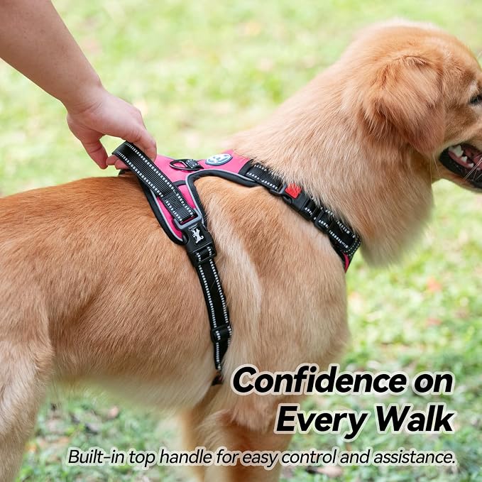 PoyPet No Pull Dog Harness Small with Front Clip & Neck Release Buckle | No Choke, Adjustable Vest, Reflective, Back Clip, Lockable, Soft Padded, Easy Control Handle for Walking Training, S, Pink