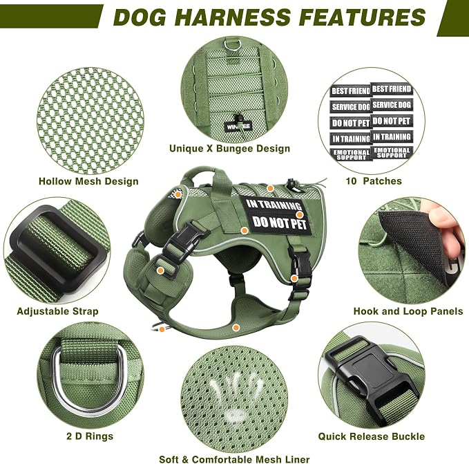 Service Dog in Training Mesh Harness with 10 Removale Pet Patches | Breathable material, adjustable straps, reflective trim, lightweight but durable, great for training, walks, and outings