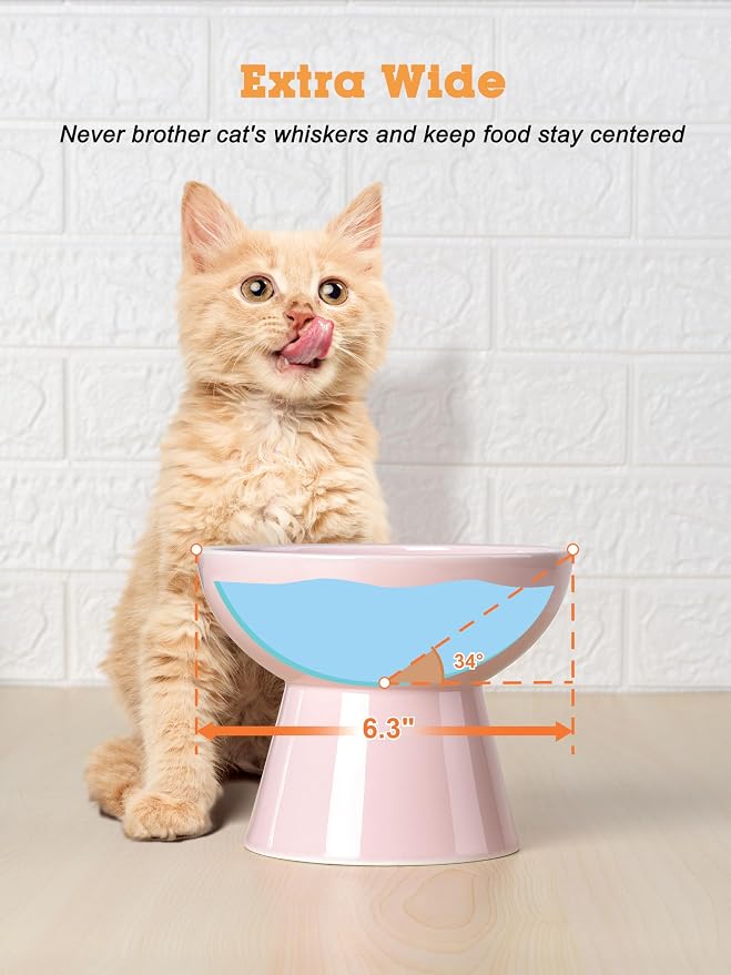 LoeJan Elevated Cat Food and Water Bowls Set, Extra Wide and Raised Ceramic Feeder, Anti-Vomit Whisker-Free Pressure Feeding Bowl for Kittens Adult Cats Small Dogs (Pink, Bowl Set)