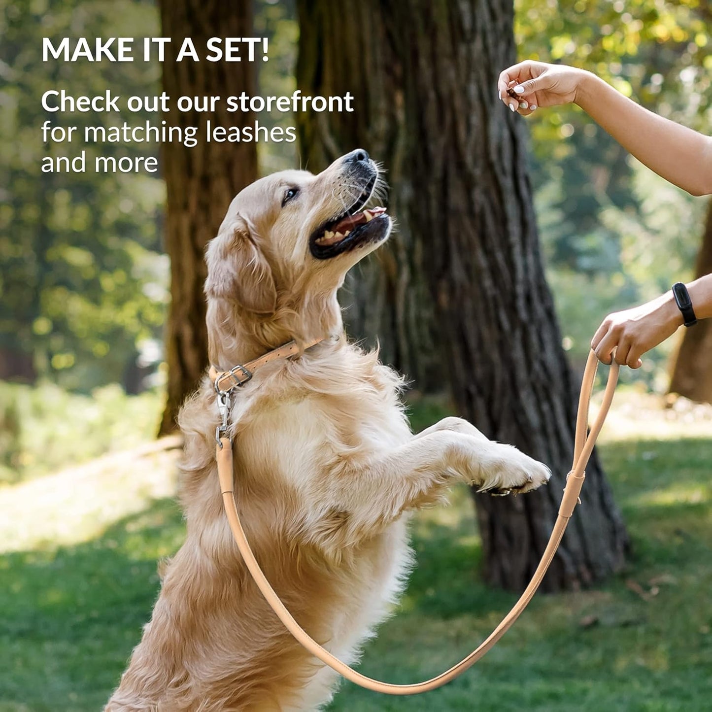CollarDirect Rolled Leather Dog Collar, Soft Padded Round Puppy Collar, Handmade Genuine Leather Collar Dog Small Large Cat Collars 13 Colors (6-7 Inch, Beige Smooth)