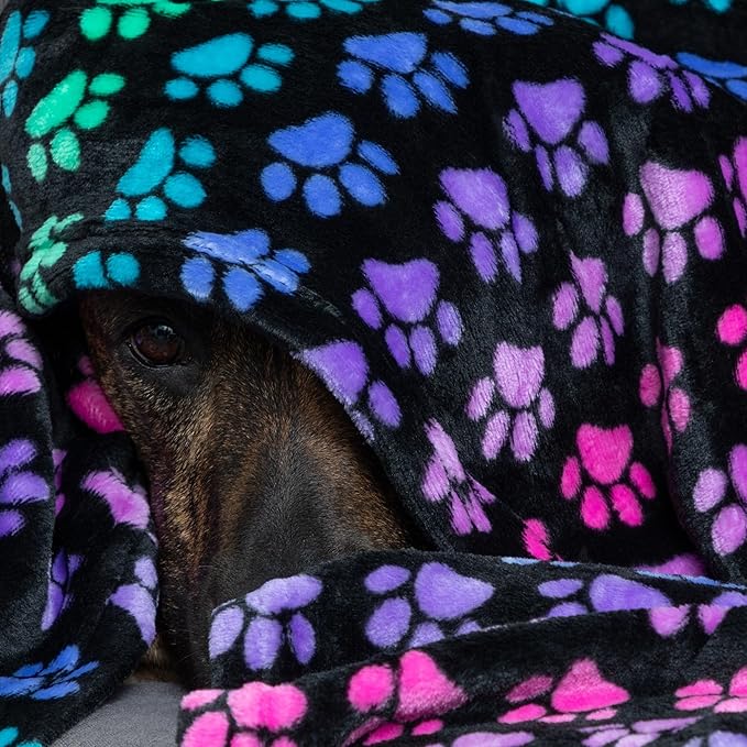 Pet Dog Cat Blanket Ultra Soft Cozy Fleece Paw Print Design Machine Washable Durable for Crates Beds Sofas Travel (Rainbow Paws, Medium)
