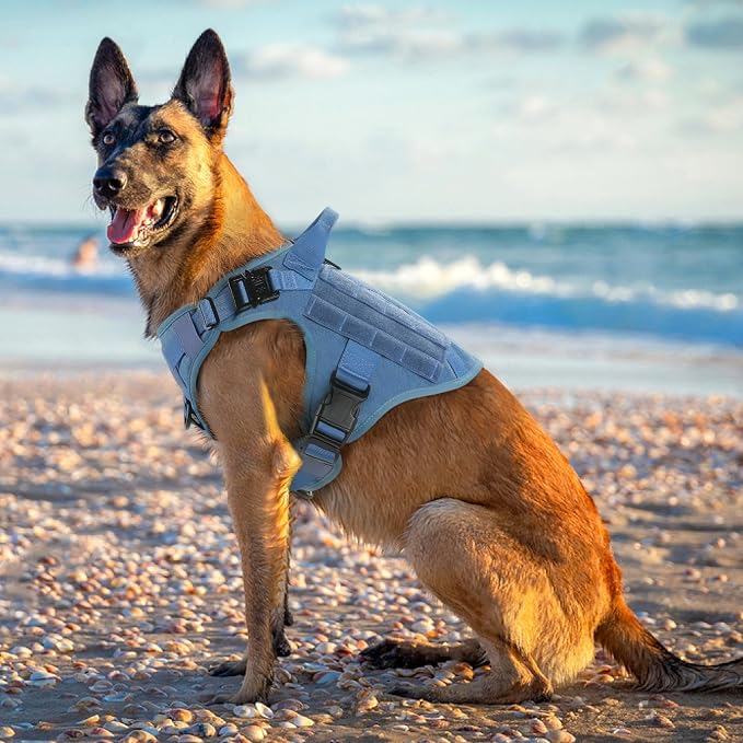 rabbitgoo Tactical Dog Harness X-Large, Heavy Duty Military No Pull Vest | Sturdy Metal Buckles, 5 Adjustments, Molle System, Powerful Pullers for Training, Hunting, Outdoor, Blue, X-Large