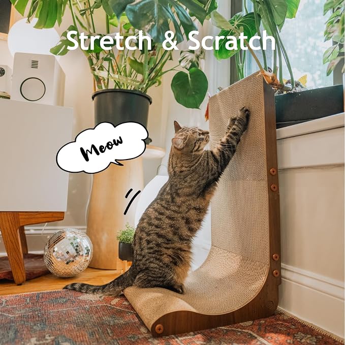 Necoichi Cardboard Cat Scratcher Wall for Indoor Cats - Cat Scratching Board, Cat Scratch Pad Lounger with Reversible Usability and Extra Comfort for Lounge, Curved (Dark Cherry, Regular)