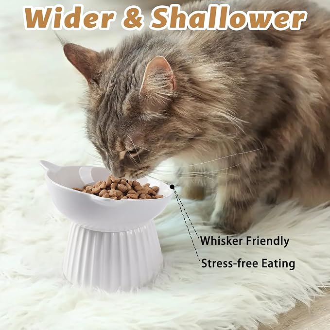Ceramic Raised Cat Bowl，Tilted Raised Bowl Anti Vomit for Indoor Cats Whisker Friendly Pet Feeder for Cats Puppies, Microwave and Dishwasher Safe (White-2 Pack)