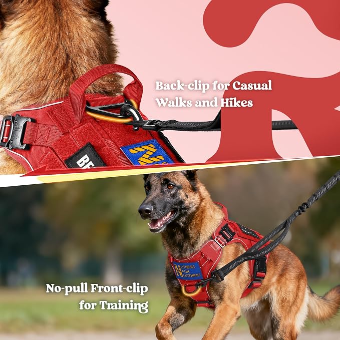 rabbitgoo Tactical Dog Harness for Large, Heavy Duty Military No Pull Vest | Sturdy Metal Buckles, 5 Adjustments, Molle System, Powerful Pullers for Training, Hunting, Outdoor, Red Reflex, Large