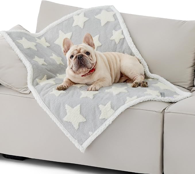 LE SURE Waterproof Dog Blankets for Medium Dogs Cute 3D Jacquard,30x40 | Puppy Blanket for Cat Aesthetic Gift, Warm Soft Sherpa Throw Washable, Reversible Pet Couch Protector, Galaxy Grey