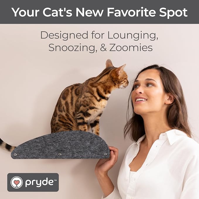 Accessory ADD-ON Long Shelf Facade Covers Compatible with Cat Wall Shelves by Pryde Pets - 100% Sustainable PET Felt - Climber Sold Seperately - Cats Perch Privacy and Safety Bumpers (Charcoal)