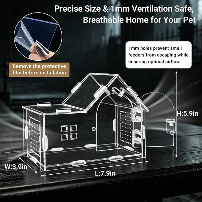 Acrylic Jumping Spider Enclosure Kit 16PCS with Decor | 19-pc gothic decor with dark plants, chain, hideout, for mantis & tarantula