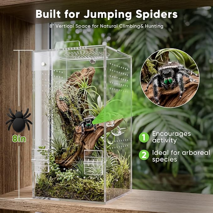 4"×4"×8" Ready-to-Use Acrylic Jumping Spider Enclosure No Assembly Needed | 360° Ventilation, Mini Reptile Terrarium for Jumping Spider, Mantis, Snail – Ideal for Desk, Living Room & Bedroom