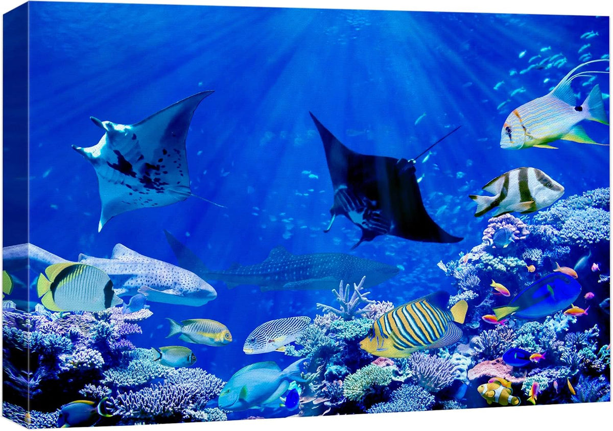 wall26 Canvas Print Wall Art Vibrant Sunlight Ray Ocean Shark Fish Reef Nature Animals Photography Realism Rustic Scenic Landscape Wilderness Earth for Living Room, Bedroom, Office - 12"x18"