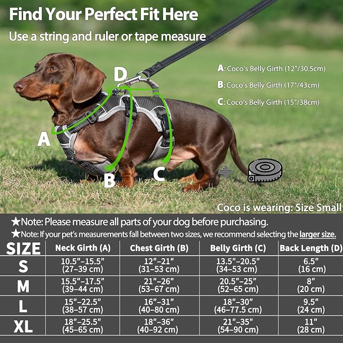 Escape Proof Dog Harness, Dachshund Harness, Reflective Dog Harness with Handle, Durable,Adjustable Vest for Small Medium Large Dogs Walking, Training, and Running Gear (Black,S)