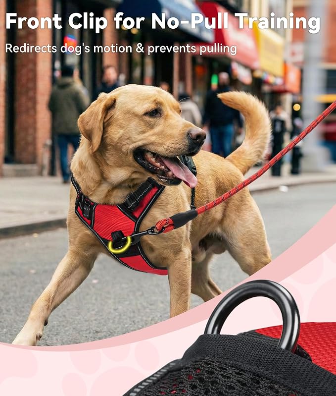 Joytale No Pull Dog Harness Medium Sized Dog, Front Clip, Red | Grab Handle for Instant Control, Padded & Adjustable Vest, Sturdy Metal D-Rings, for Safe Training & Daily Walking