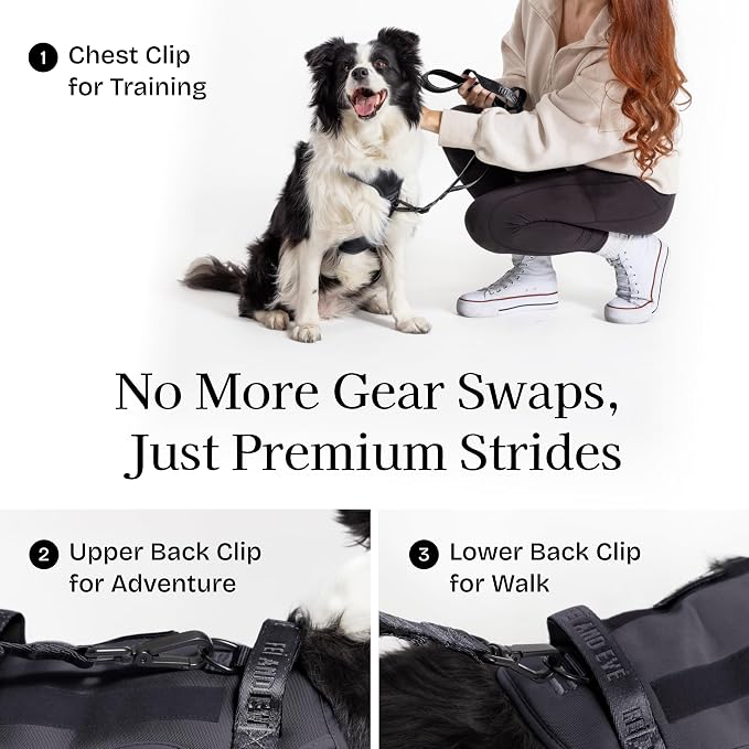 Fei & Eve Classic Dog Harness, MagEase Magnetic Buckle | 3-Point No-Pull Control, Dual Handle Support, 900D Nylon, Tactical Patch Panel, Heavy Duty, Large, Black