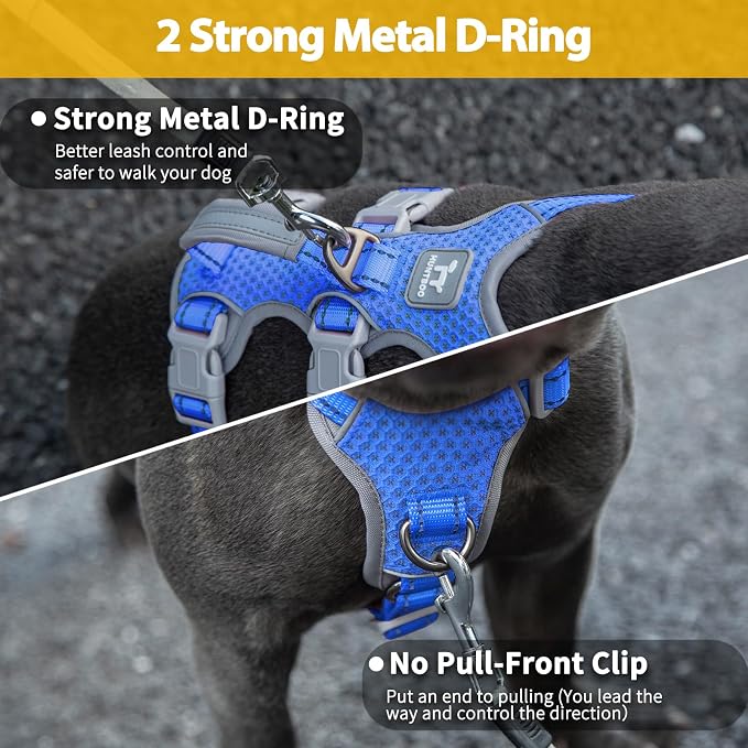 Escape Proof Dog Harness, Secure Dog Harness No Escape, Fully Reflective Harness with Handle,Breathable,Durable, Adjustable Vest for Small Dogs Walking, Training,and Running Gear (Sea Blue,S)
