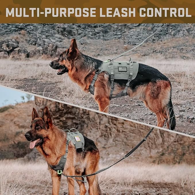 Forestpaw Tactical Dog Harness Collar Bungee Leash Set,M,Gray | Adjustable Fits 22-35" Chest,30-80 lbs,No Pull Control Military Style,Quick Release Buckle,Walking Training for Medium Dogs