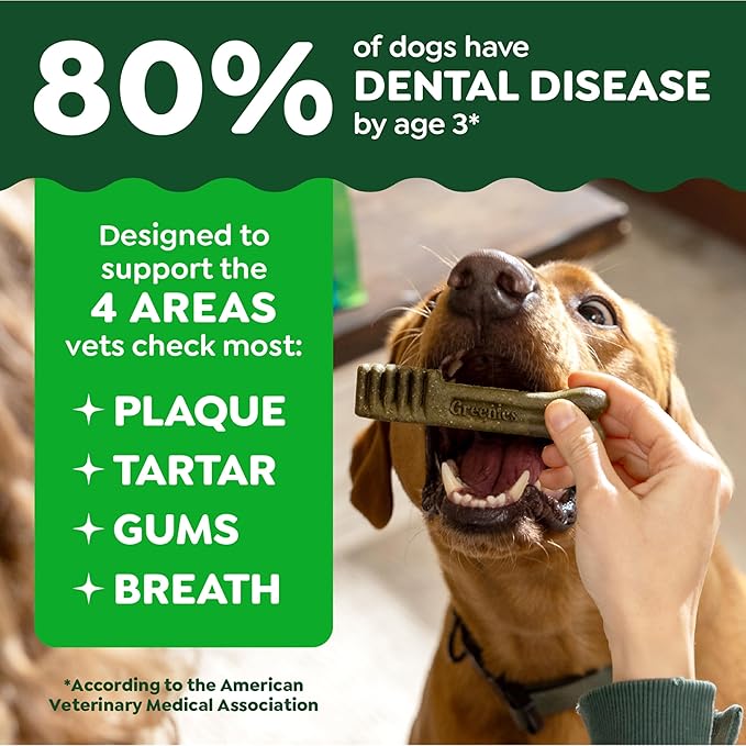 Greenies Veterinarian-Recommended Adult Natural Dental Dog Treats Petite Size, Original Flavor, 12 oz. Pack, 20 Count