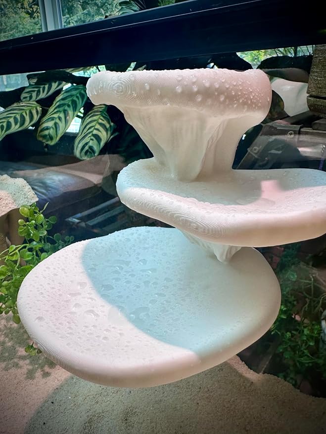 Mushroom Ledge for Terrarium – Climbing & Resting Platform with Suction Cups (Bone, 6''x4.5''x5.25'')