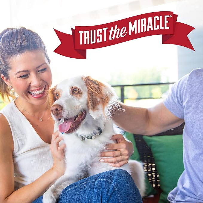 Nature's Miracle Stain and Odor Remover Dog 32 Ounces, Odor Control Formula, Pour (Pack of 2)