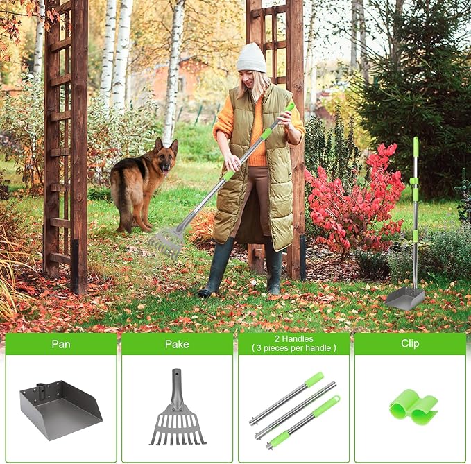 Non-Breakable Pooper Scooper, Dog Pooper Scooper Tray & Rake Set with Adjustable Stainless Steel Long Handle for Large Medium Small Dogs (Green)