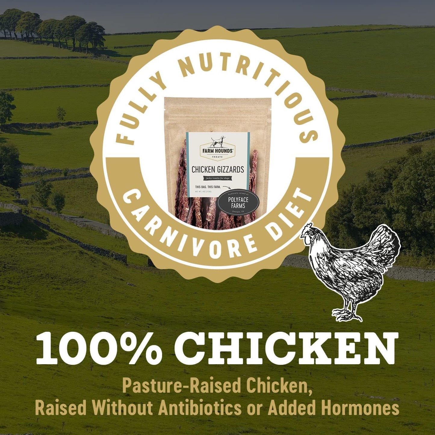 Farm Hounds - Chicken Gizzards - Premium Natural Jerky for Dogs -100% Humanely Raised Chicken - Break-to-Size - Great for Training & Treats - No Added Fillers - Made in USA - 4oz -2 Pack