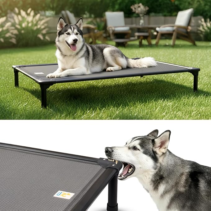47'' Outdoor Elevated Dog Bed for Extra Large Dogs, Chew-Proof Pet Camping Raised Cot with Breathable Mesh - Durable Frame, Cooling Hammock Bed, Non-Slip Feet, Waterproof, Easy Clean