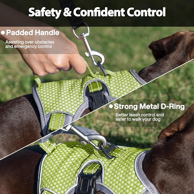 Escape Proof Dog Harness, Dachshund Harness, Reflective Dog Harness with Handle, Durable,Adjustable Vest for Small Medium Large Dogs Walking, Training, and Running Gear (Green,L)