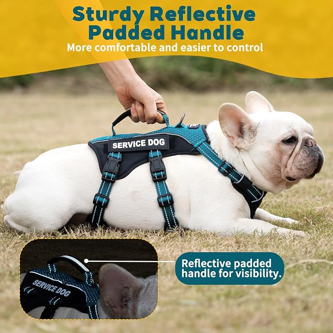 Service Dog Vest Harness, Escape Proof Harness with 6 Patches, No-Pull, Reflective Harness with Handle, Adjustable for Small to Large Dogs, for Training and Hiking (Teal, M)