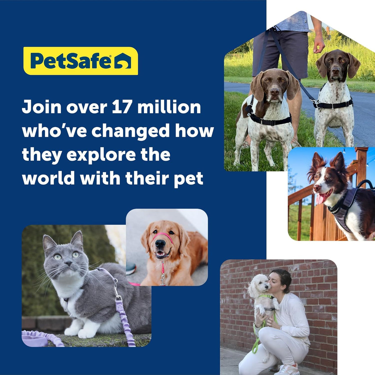 PetSafe 3 in 1 Dog Harness - No Pull Solution for Dogs - Reflective Dog Harness - Front D-Ring Clip Helps Stop Pulling - Comfortable Padded Straps - Top Handle Enhances Control - Black - Large