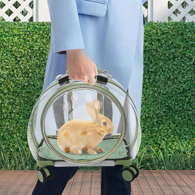 Pet Carrier with Wheels, Transparent Hard Breathable Pet Carrier with Ventilation Holes Telescopic Handle Multiple Carrying Strollers for Cats Dogs (Green)