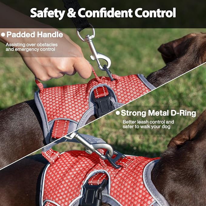 Escape Proof Dog Harness, Dachshund Harness, Reflective Dog Harness with Handle, Durable,Adjustable Vest for Small Medium Large Dogs Walking, Training, and Running Gear (Red,S)