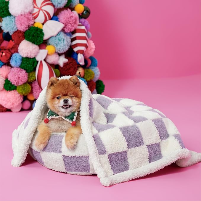 LE SURE Waterproof Dog Blankets for Small Dogs Cute Cozy 3D Jacquard,25x35 | Puppy Blanket for Cat Aesthetic Gift, Warm Soft Sherpa Throw Washable, Reversible Pet Couch Protector, Lavender Checks