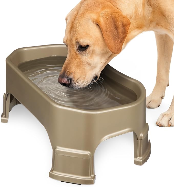 Neater Pet Brands Extra Large Water Bowl for Dogs, Elevated Outdoor Dog Water Bowl (1.25 Gallon XL Capacity), Big Trough Style Food Dish for Indoors or Outside, No Spill Large Dog Bowls, Champagne