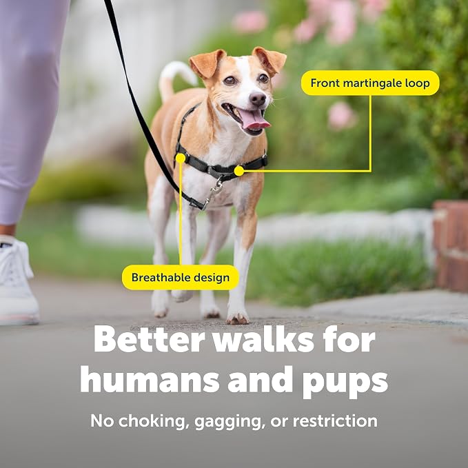 PetSafe Easy Walk Harness for Dogs - Pull-Free Walks - Patented Martingale Loop Design - Front Chest Leash Attachment - Comfort Straps - Breathable Harness Design - Small, Royal Blue/Navy Blue | Patented Martingale Loop Gives Gradual Shoulder Pressure ...