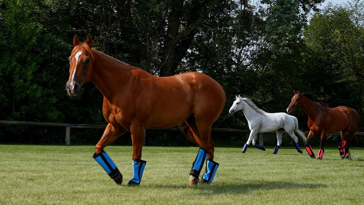Warrior Fly Boots for Horses - Breathable Mesh Horse Boots for Fly Protection & Leg Comfort - Set of 4 (Lil Warrior, Neon Pink)