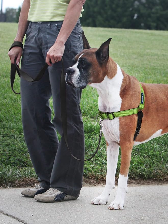 PetSafe Deluxe Easy Walk No Pull Dog Harness, Apple Green, Small | Padded Neoprene Straps, Reflective Strips for Night Safety, Martingale Loop Curbs Pulling from the Chest, Not the Throat