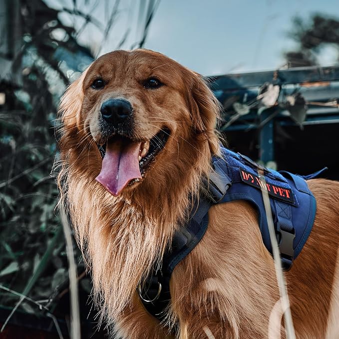 OneTigris Tactical Dog Harness Vest No-Pull Service Dog Vest for Large Dogs | 1000D Pullable Nylon, with Control Handle and Hook & Loop Panels, Easy On & Off, Adjustable for Walking Training Blue XL