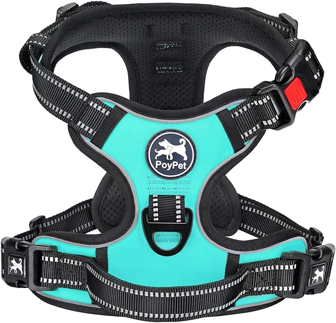 PoyPet No Pull Dog Harness Large with Front Clip & Neck Release Buckle | No Choke, Adjustable Vest, Reflective, Back Clip, Lockable, Soft Padded Handle for Walking Training, XL, Mint Blue