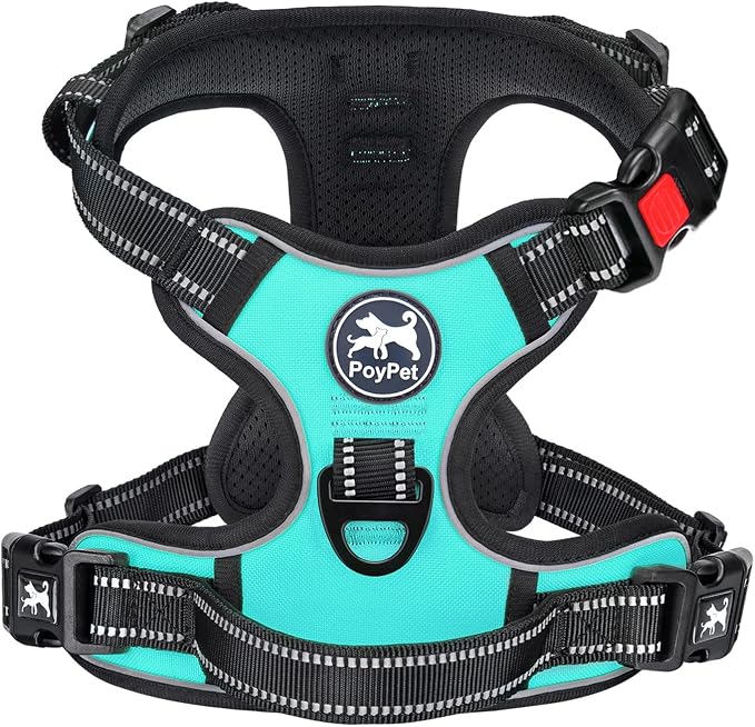 PoyPet No Pull Dog Harness Large with Front Clip & Neck Release Buckle | No Choke, Adjustable Vest, Reflective, Back Clip, Lockable, Soft Padded Handle for Walking Training, L, Mint Blue