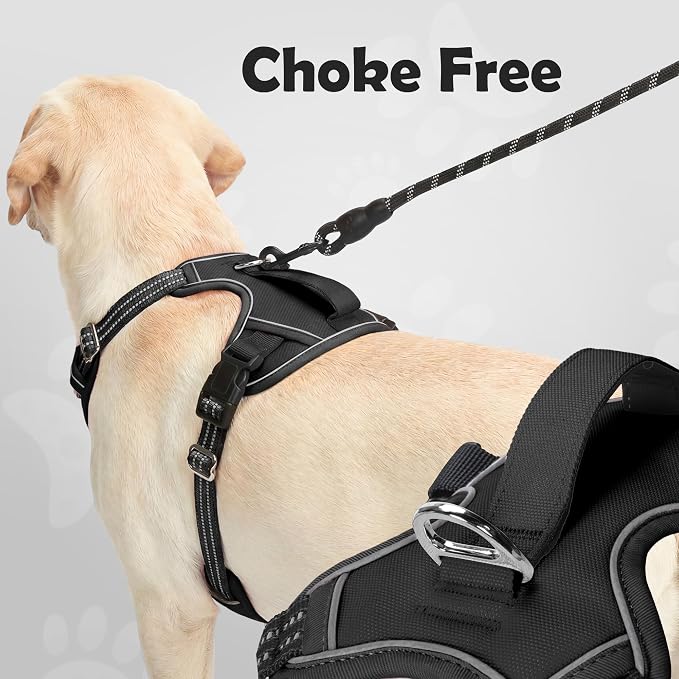 Dog Harness for X-Large Dog No Pull, Adjustable Pet Vest Harness, Vertical Handle Easy Control with 2 Leash Clips, Soft Material, Reflective Safe Night Walking for X-Large Size, Black, XL