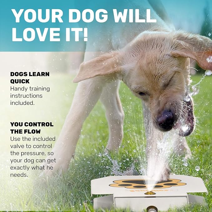 Scuddles Dog Sprinkler, Paw Activated Water Fountain, Outdoor Dog Water Sprinkler with Copper Valve, Easy Step-On Pedal, Perfect For Dogs to Stay Cool and Hydrated, Hose Attachment and Training Guide,