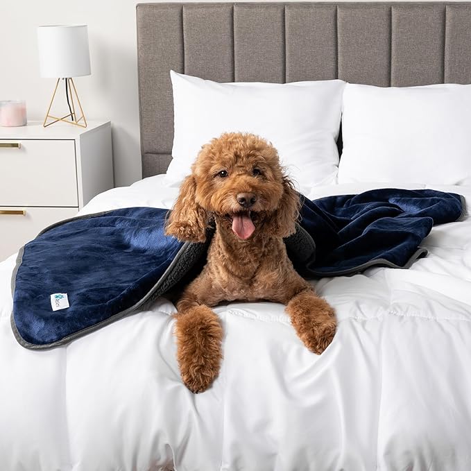 PetAmi Waterproof Dog & Cat Blanket, Pee Proof for Couch & Bed, Reversible, Soft Fleece, Washable, 24x32 Navy/Gray